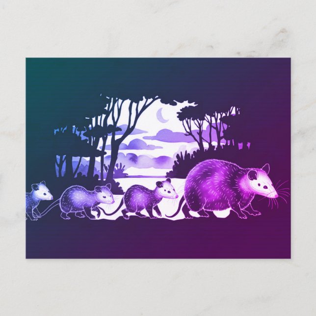 Carte postale Opossum Family in Forest Clearing (Devant)
