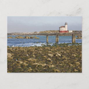 Carte Postale OR, côte de l'Oregon, Bandon, rivière Coquille