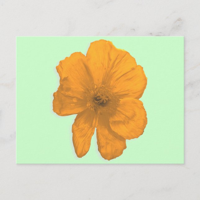 Carte Postale Orange Aid/ PopArt Flower (Devant)
