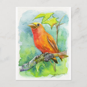 Carte Postale Orange Bird