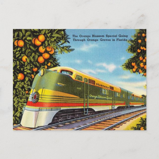 Carte Postale Orange Blossom spécial Orange Grosses à Floride (Devant)