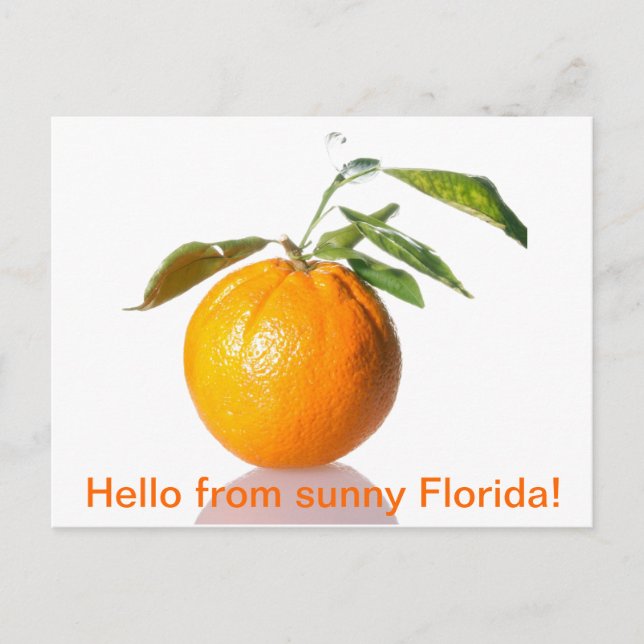 Carte postale orange - bonjour de la Floride ensol (Devant)