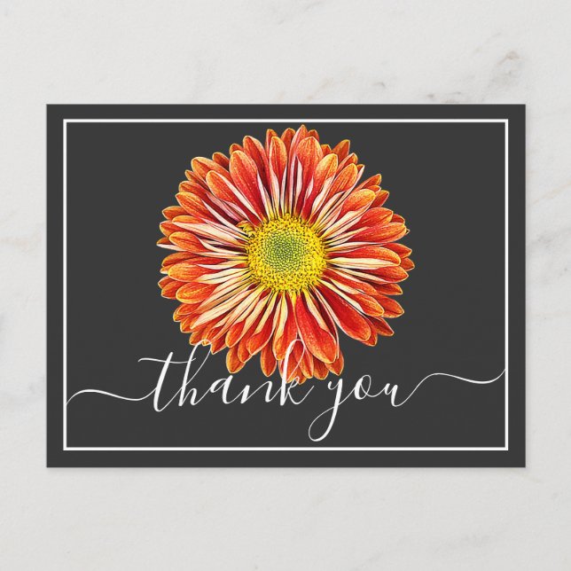 Carte Postale Orange Chrysanthème gris Arrière - plan Merci (Devant)