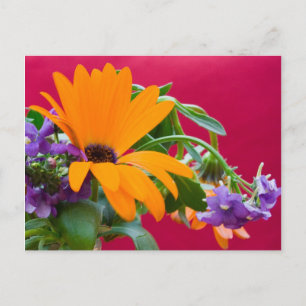 Carte Postale Orange Et Purple Flower