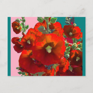 Carte Postale Orange Hollyhock Garden Cadeaux