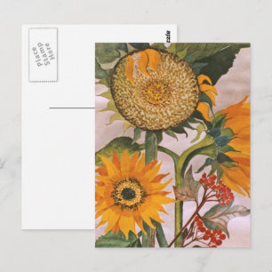 Carte Postale Orange Jaune Graine Tournesol Art