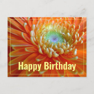 Carte Postale Orange joyeux Gerber Joyeux Anniversaire