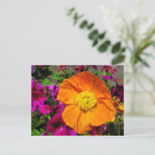 Carte postale Orange Poppy