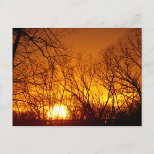 CARTE POSTALE ORANGE SUNSET