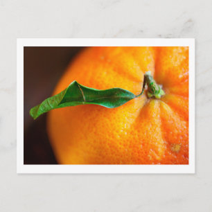 Carte Postale Orange, tu es content ?