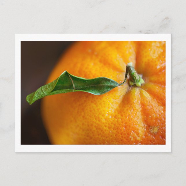 Carte Postale Orange, tu es content ? (Devant)