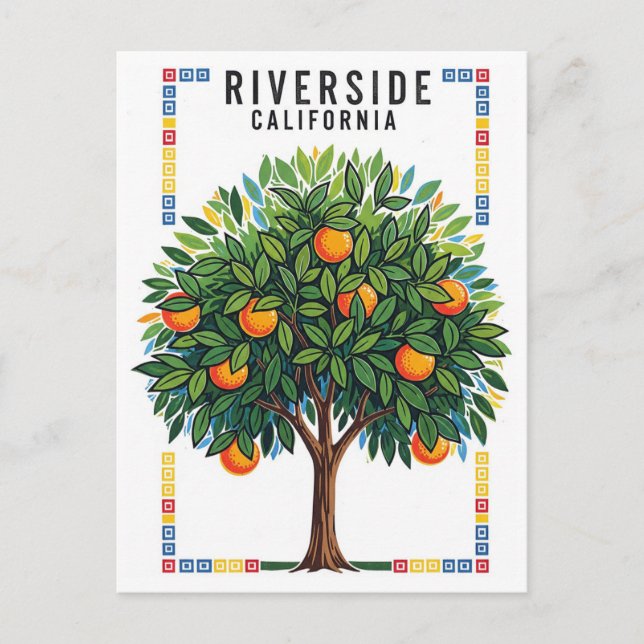 Carte Postale Oranger de Californie Riverside (Devant)
