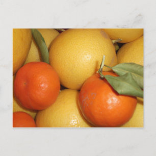 Carte Postale Oranges et citrons