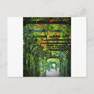 Carte Postale Oranges et citrons jaunes sur treillis vert