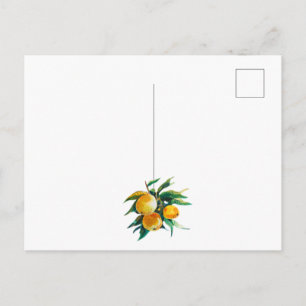 Carte postale oranges et fleurs