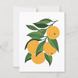 Carte Postale Oranges minimalistes et feuilles
