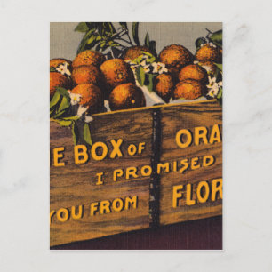 Carte Postale Oranges vintage Retro Florida