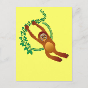 Carte postale Orangoutan