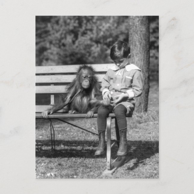 Carte Postale Orangutan et garçon - Zoo national (Devant)