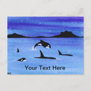 Carte Postale Orca