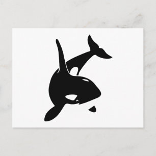 Carte Postale orca dolphin delphin schwer