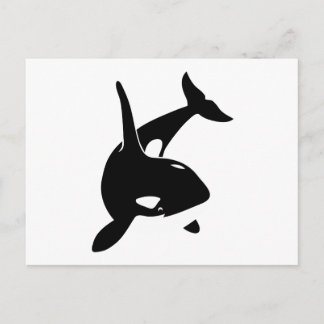 Carte Postale orca dolphin delphin schwer