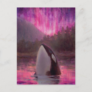 Carte Postale Orca et Pink/Magenta Lumières du Nord