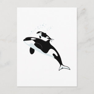 Carte Postale Orca Killer Whale
