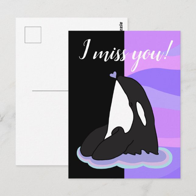 Carte Postale Orca Killer Whale (Devant / Derrière)