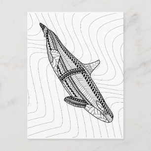 Carte postale Orca pour adultes