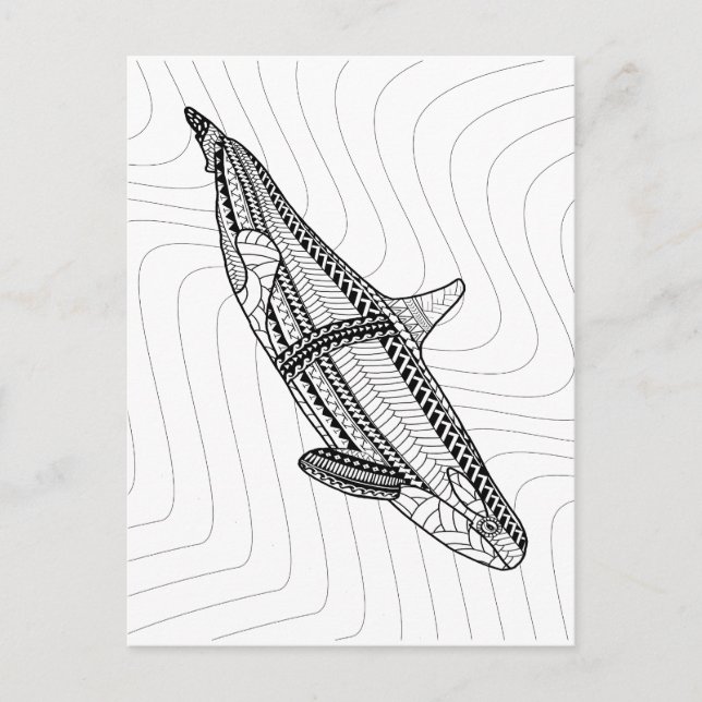 Carte postale Orca pour adultes (Devant)