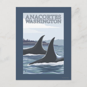 Carte Postale Orca Whales #1 - Anacortes, Washington