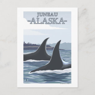 Carte Postale Orca Whales #1 - Juneau, Alaska