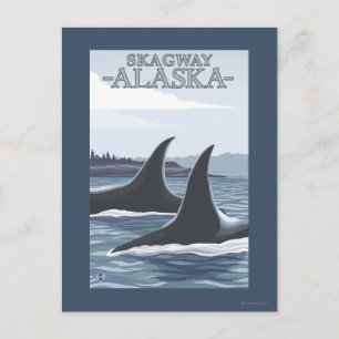 Carte Postale Orca Whales #1 - Skagway, Alaska
