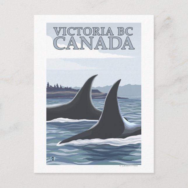 Carte Postale Orca Whales #1 - Victoria, C.-B. Canada (Devant)