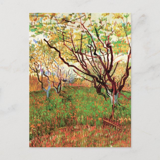 Carte Postale Orchard à Blossom par Vincent van Gogh (Devant)