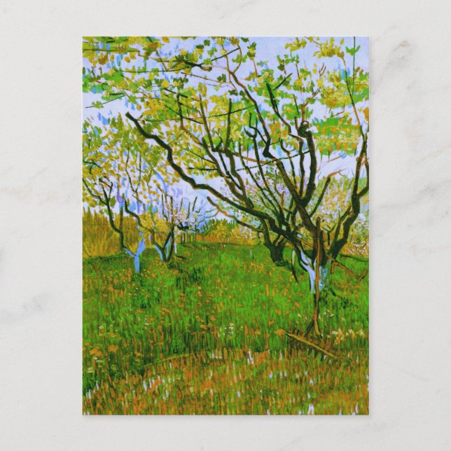 Carte Postale Orchard à Blossom, Vincent van Gogh (Devant)