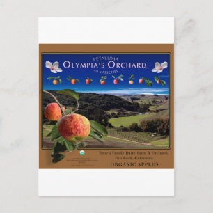 Carte Postale Orchard d'Olympia