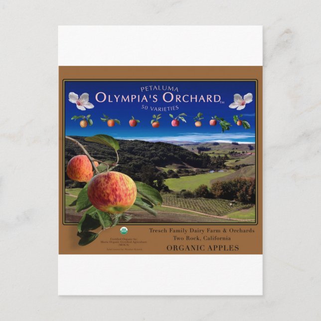 Carte Postale Orchard d'Olympia (Devant)