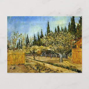 Carte Postale Orchard en Blossom, Cyprès, Vincent van Gogh