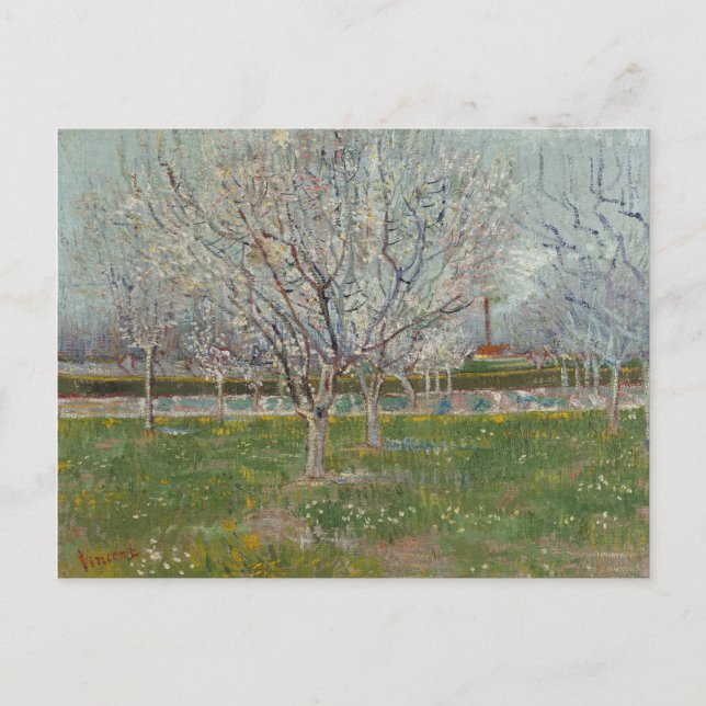 Carte Postale Orchard en fleurs Plum Trees par Vincent Van Gogh (Devant)