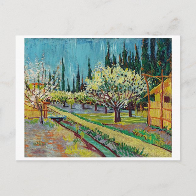 CARTE POSTALE "ORCHARD PAR CYPRESSES" PAR VINCENT VAN GOGH (Devant)