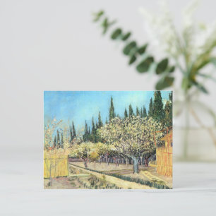 Carte Postale Orchard Van Gogh à Blossom, Bordé par Cyprès