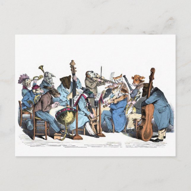 Carte Postale Orchestre animal (Devant)
