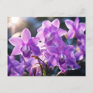 CARTE POSTALE ORCHID D'ORCHIDE DE LA DOMINICA