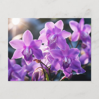 CARTE POSTALE ORCHID D'ORCHIDE DE LA DOMINICA
