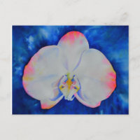 Orchid rose Blush