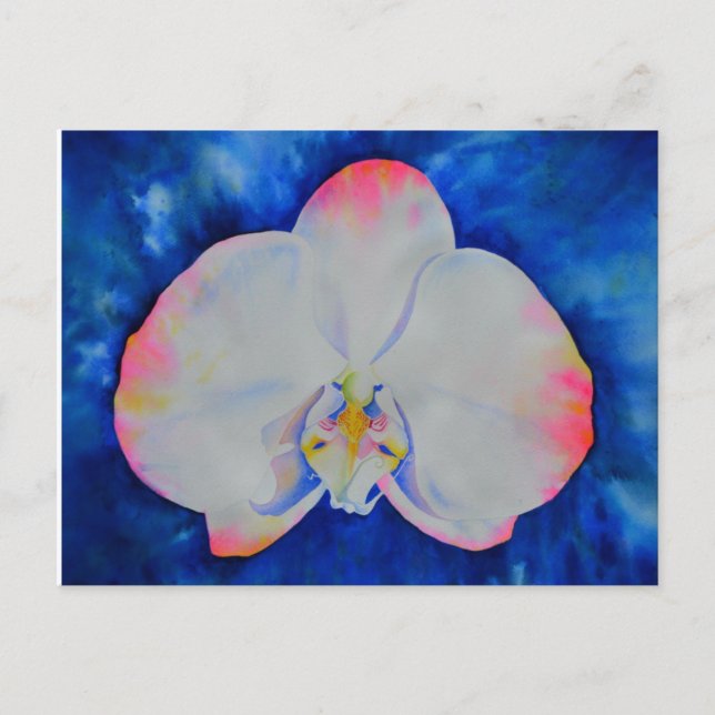 Carte Postale Orchid rose Blush (Devant)