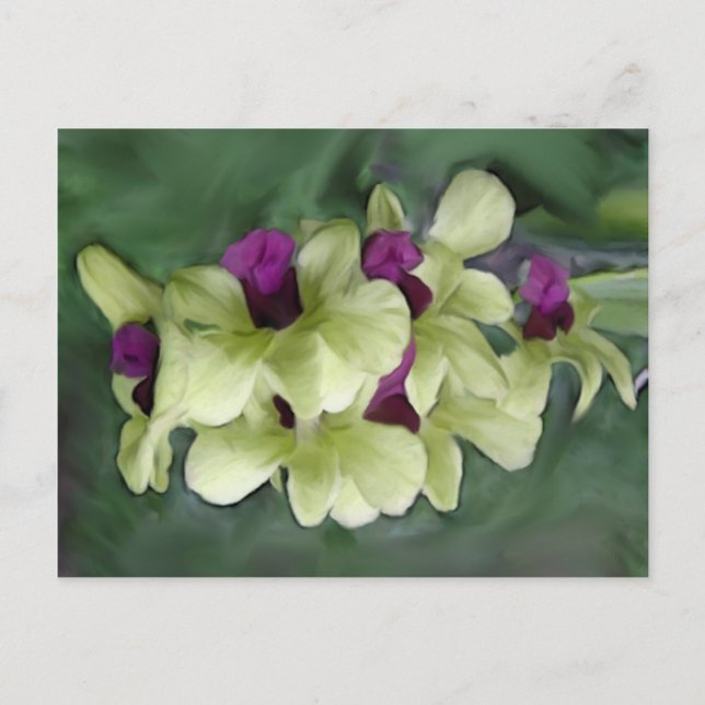 Carte postale orchidée (Devant)