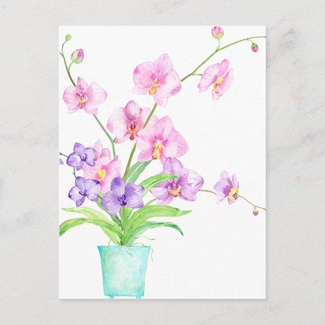 Carte Postale Orchidée aquarelle en pot (Devant)